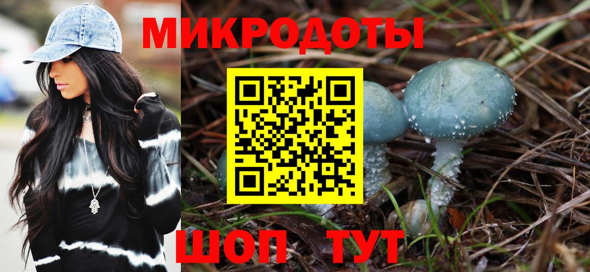 Псилоцибиновые грибы Cubensis  Вход с VPN  Кинешма  Псилоцибиновые грибы MAGIC MUSHROOMS 